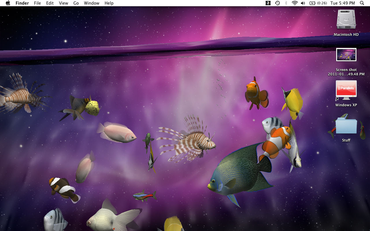 Aquarium Screensaver For Mac Free Download